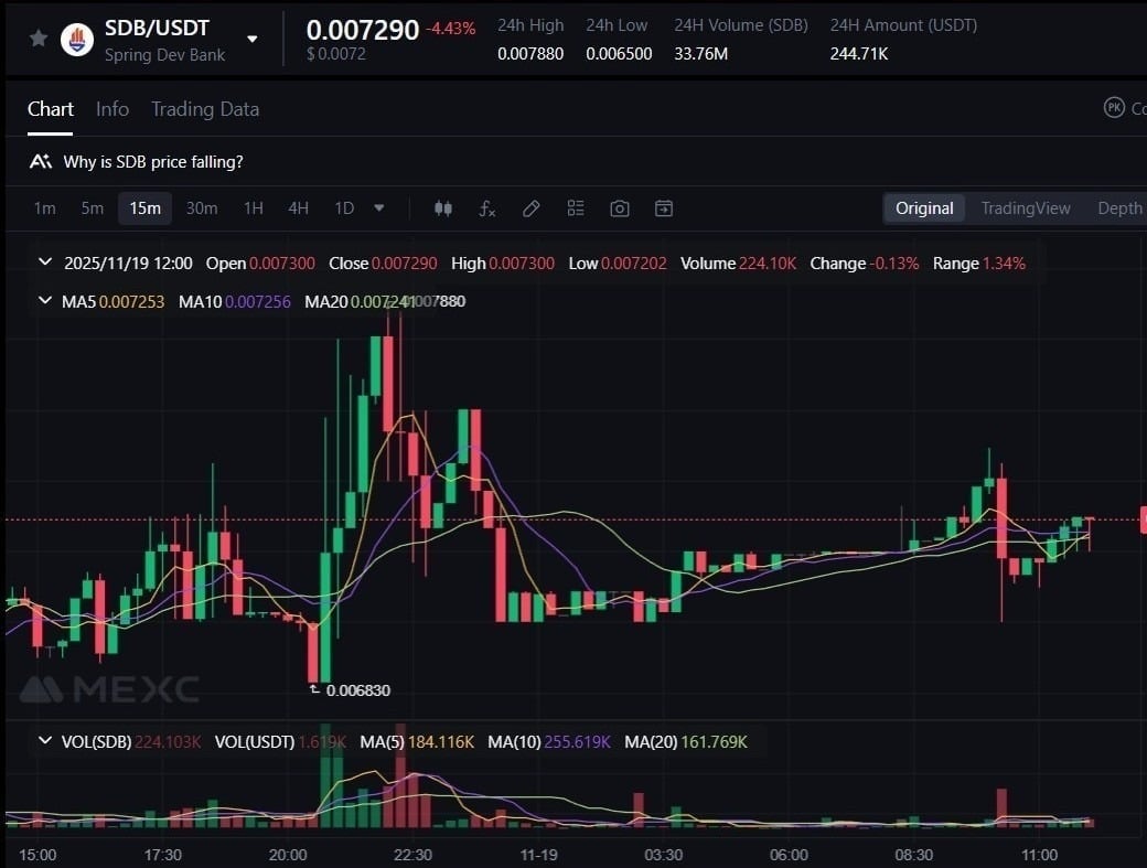 Myanmar revolution’s Spring Development Bank’s investment value rises fivefold