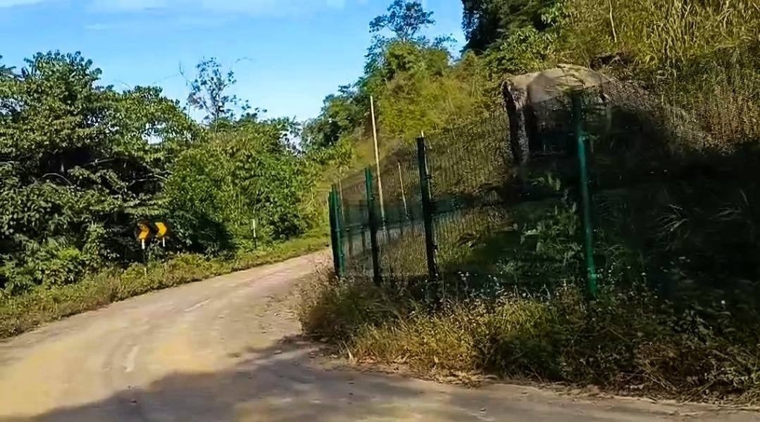 Naga groups in Myanmar and India unite to oppose border fence